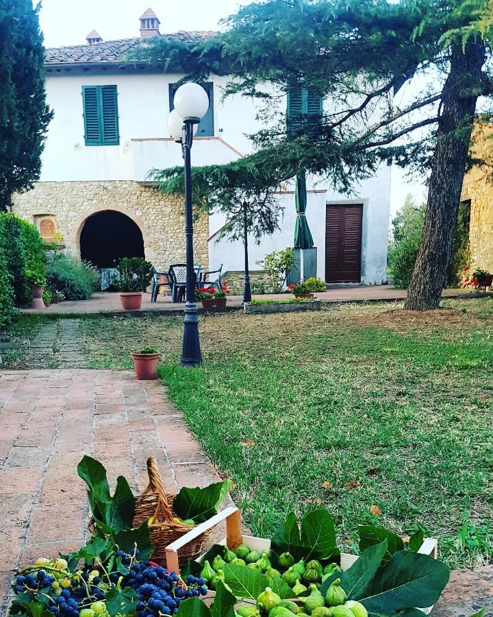 Agriturismo Sant'Ellero 산카시아노인발디파사 외부 사진