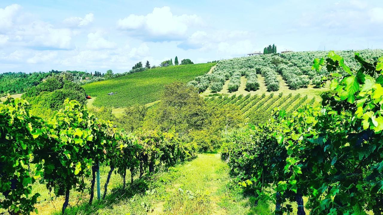 Agriturismo Sant'Ellero 산카시아노인발디파사 외부 사진