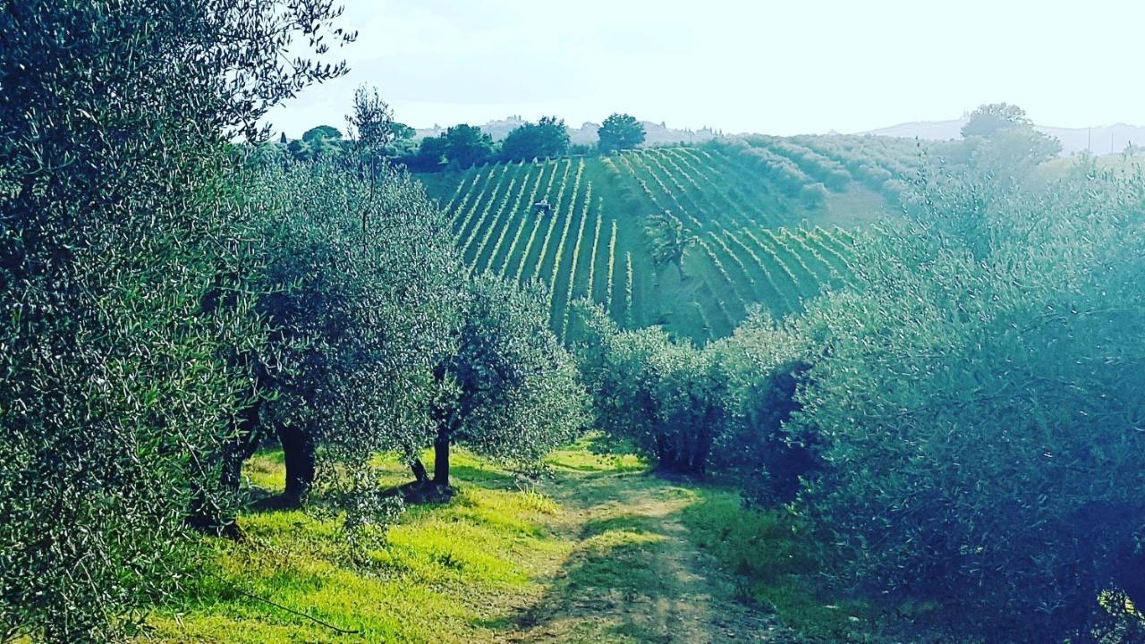 Agriturismo Sant'Ellero 산카시아노인발디파사 외부 사진